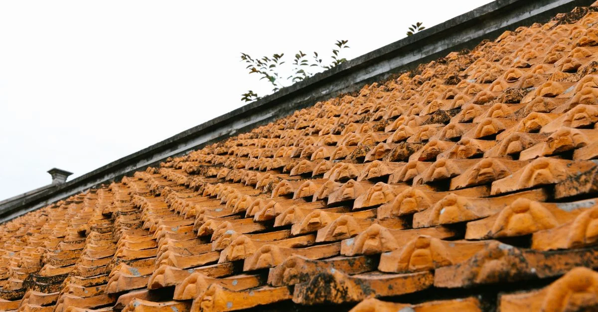 Gros plan sur un toit de tuiles orange présentant des motifs architecturaux asiatiques traditionnels.