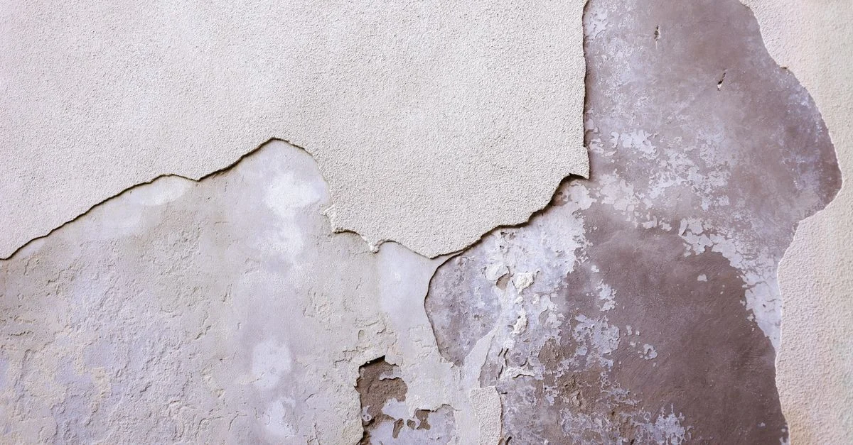 Gros plan sur un mur usé et fissuré, révélant sa texture et ses détails.