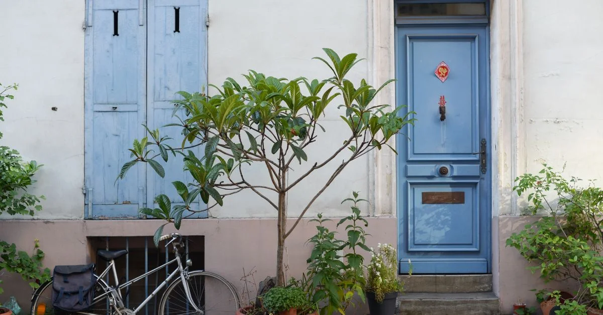 Une charmante entrée de ville avec une porte bleue, une bicyclette et des plantes en pot, dégageant un charme urbain.